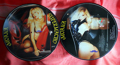 Tabiiy blondalarning tukli mushuklari