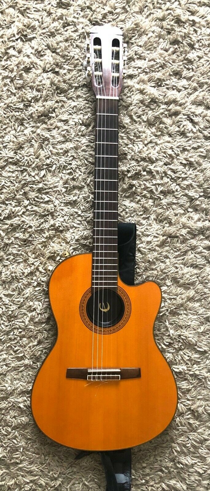 Epiphone chet atkins hotsell