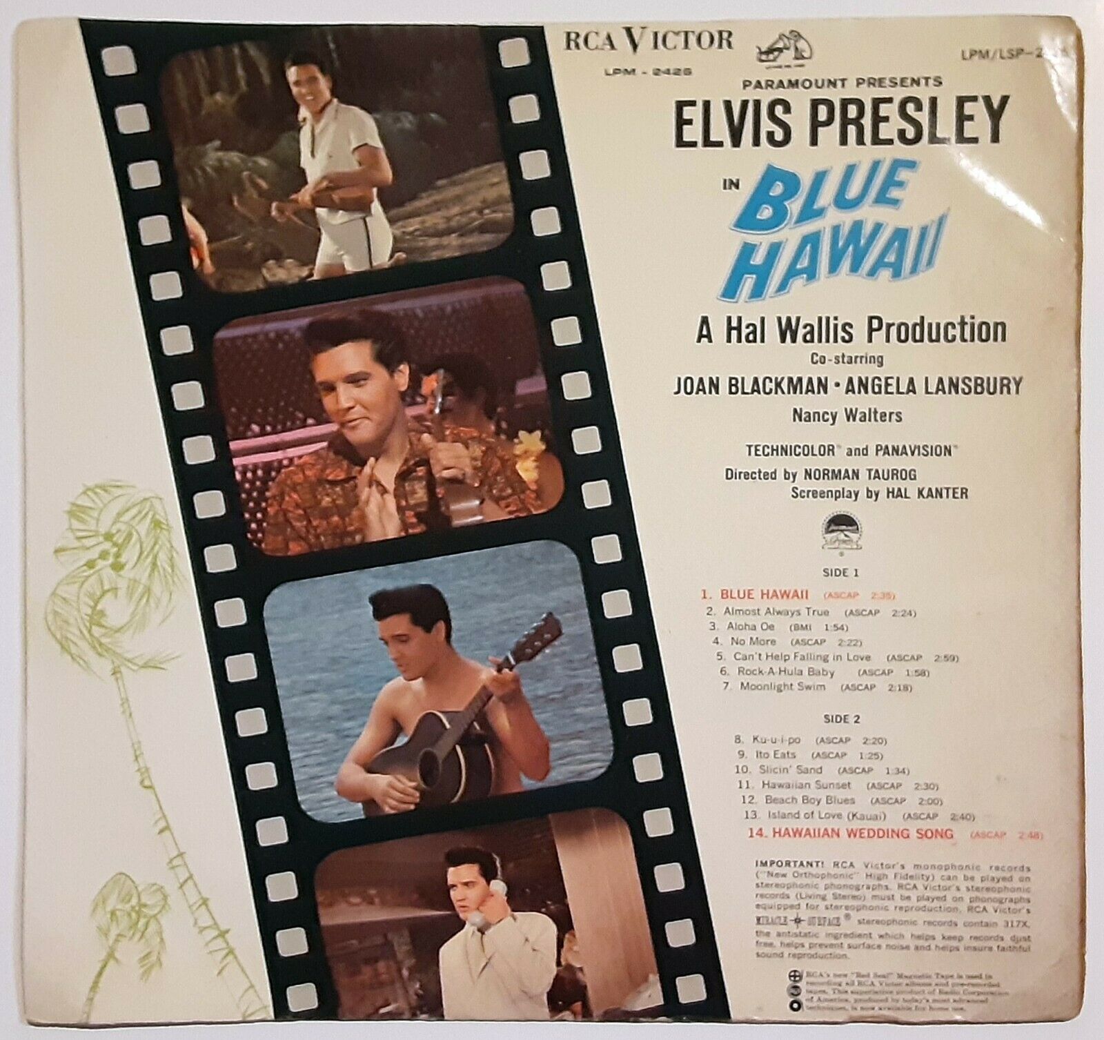 BLUE HAWAII ELVIS PRESLEY JENNY MAXWELL RARE PUBLICITY PHOTO | eBay