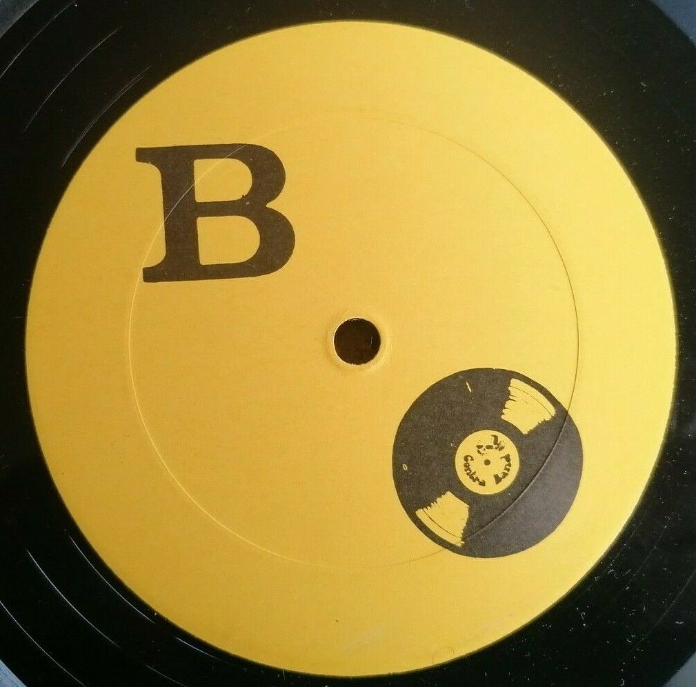 popsike.com - Led Zeppelin 2x LP Bonzos Birthday Party TMOQ ? WM
