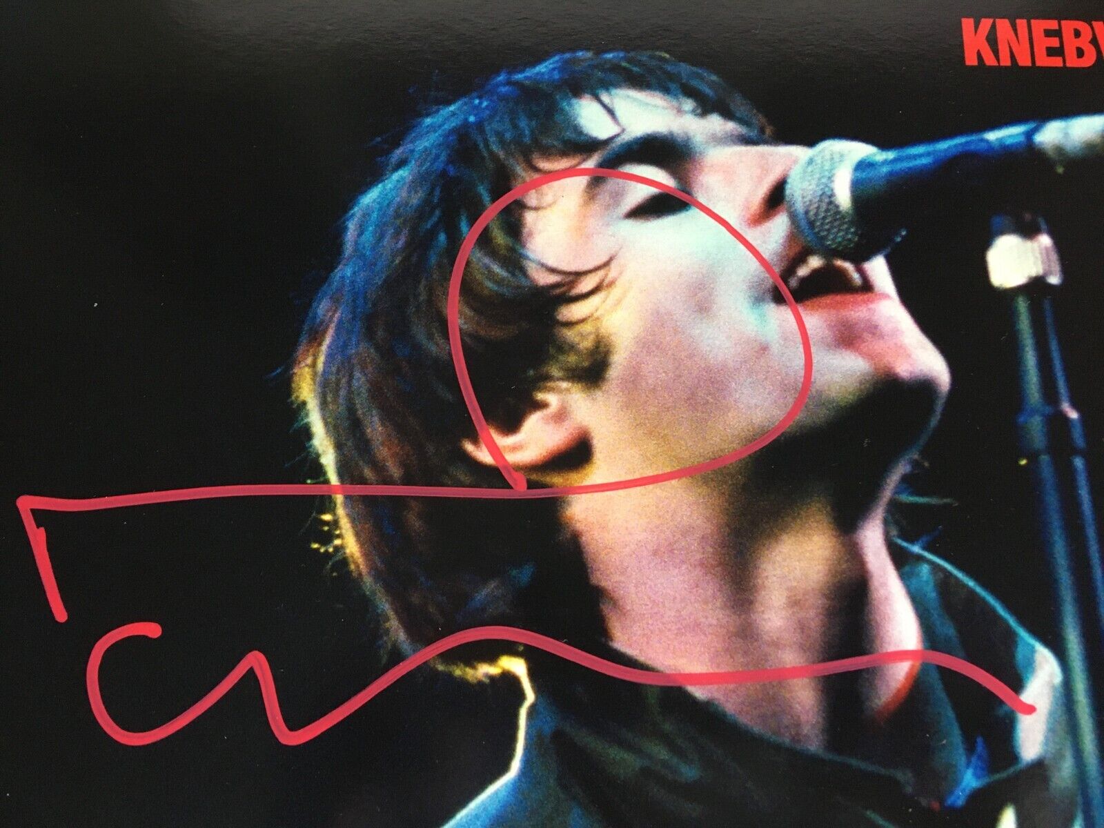 popsike.com - SIGNED OASIS KNEBWORTH 1996 12