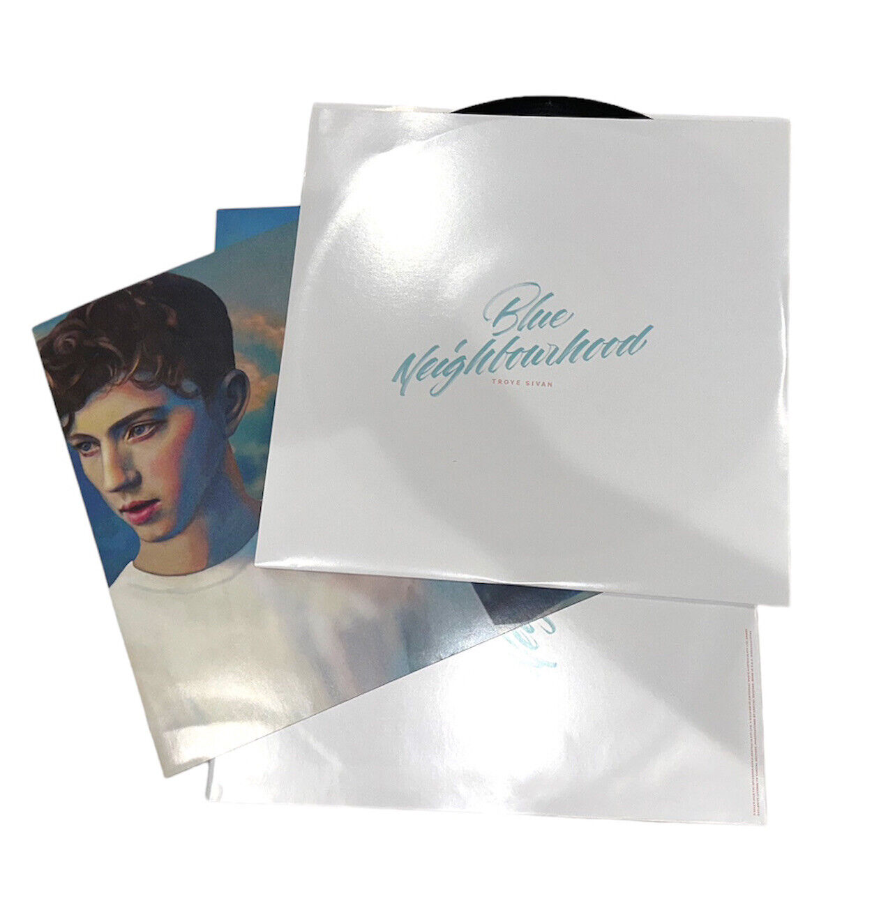 Signed Troye Sivan Blue Neighbourhood Vinyl auction details