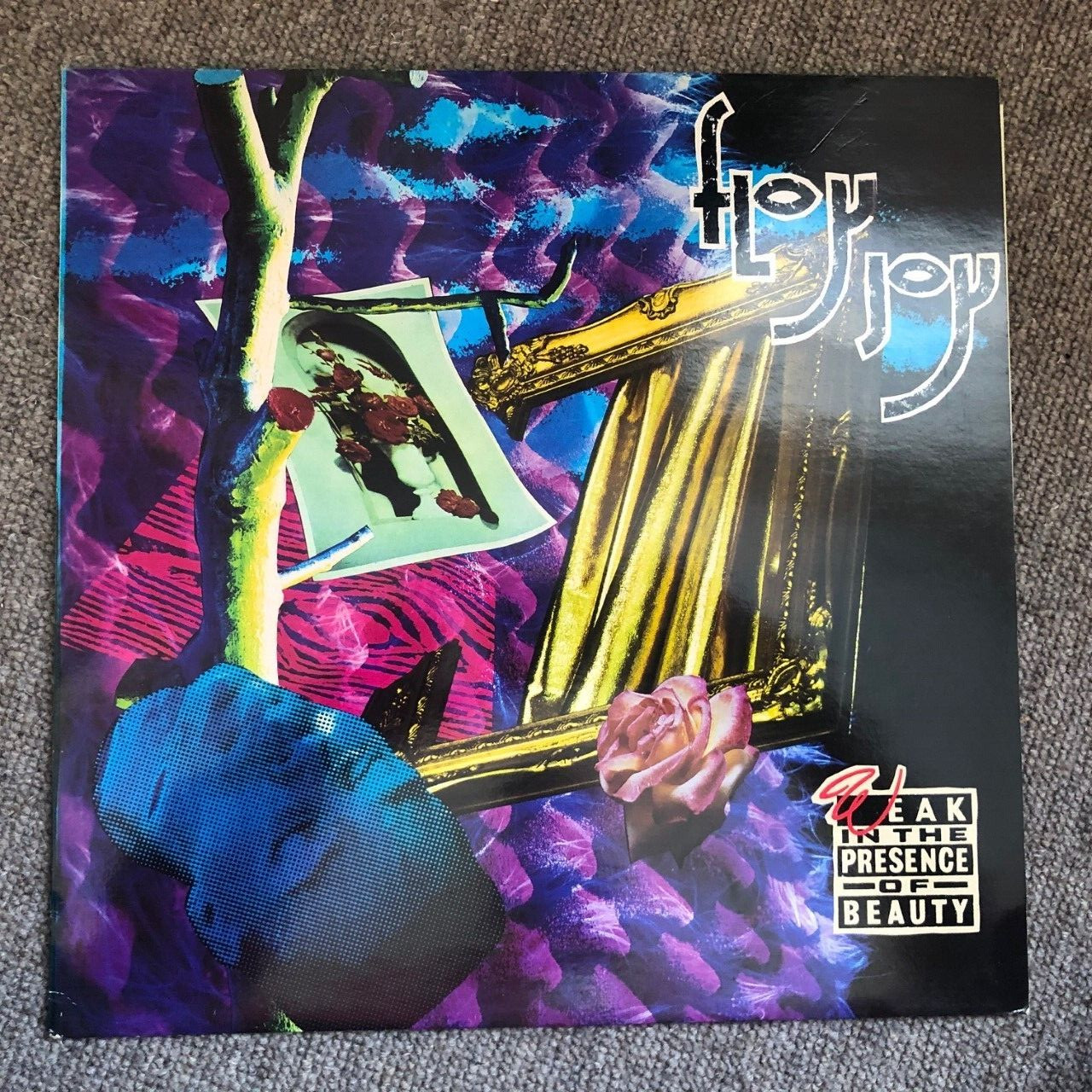 LP Floy Joy - Weak in the Presence of Beauty 12" LP vinyl Friday Night RARE OOP A