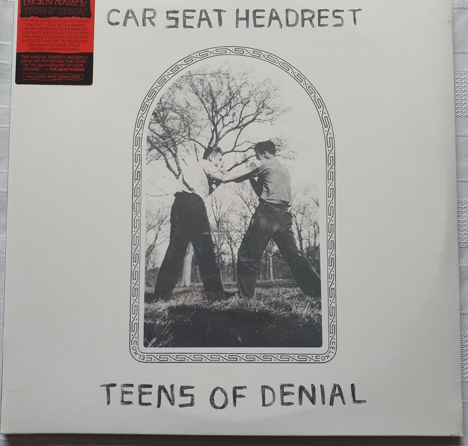 CAR SEAT HEADREST - Teens of Denial (RECALLED Unplayed VINYL LP NEW SEALED) 251
