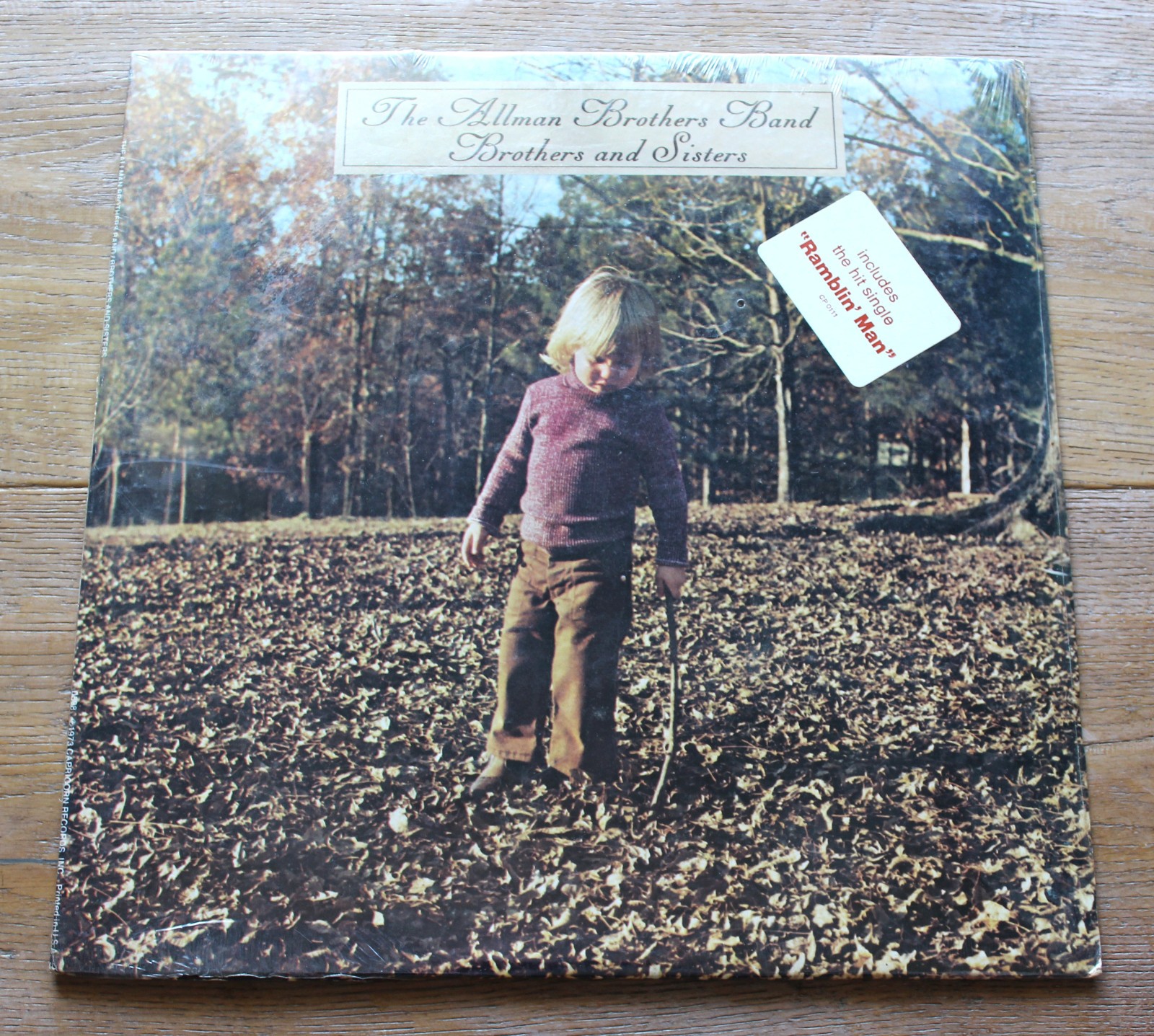 Allman Brothers Brothers and Sisters Vintage Vinyl LP Still Sealed + Hype A