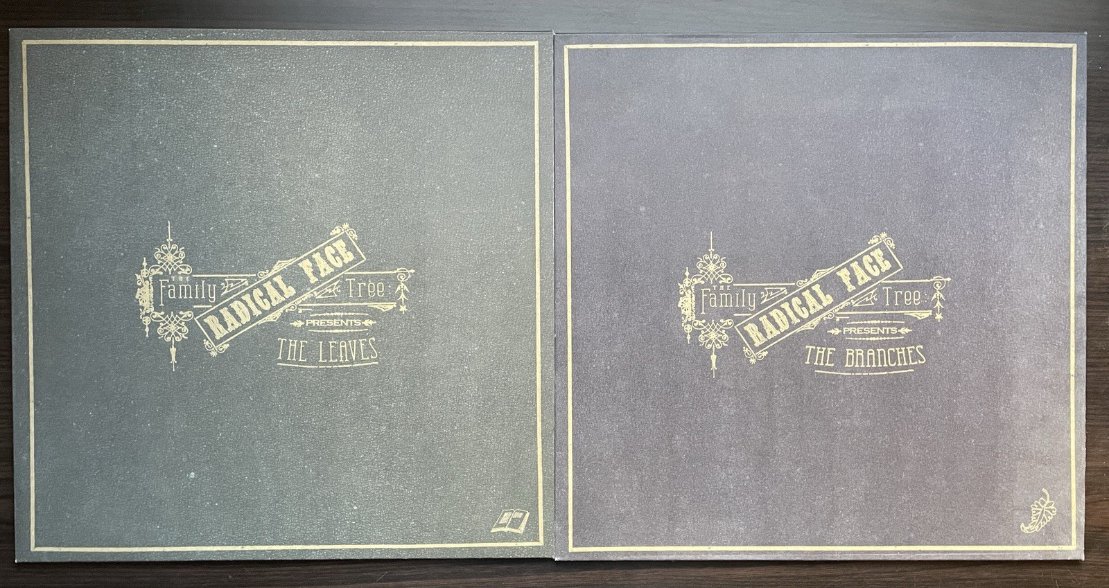 Radical Face - The Family Tree: The Leaves & The Branches - RARE Vinyl 2xLP Lot A