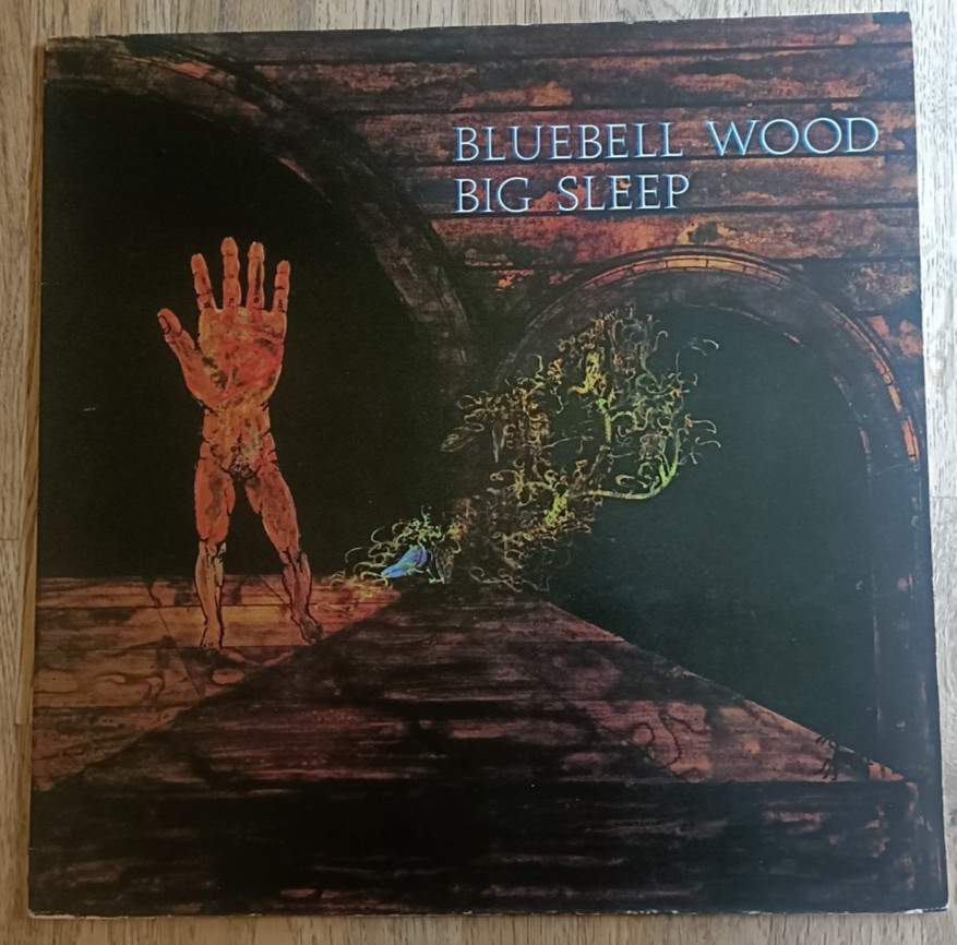 Bluebell Wood LP Big Sleep UK Pegasus 1st Press INCREDIBLE COPY & AUDIO PROG A
