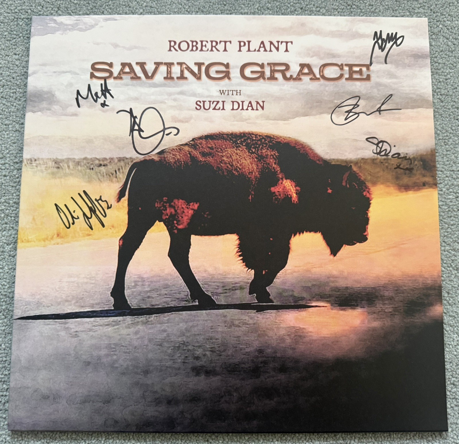Robert Plant & Suzi Dian &lrm;Signed Saving Grace Fruit Punch Vinyl - Autograph A