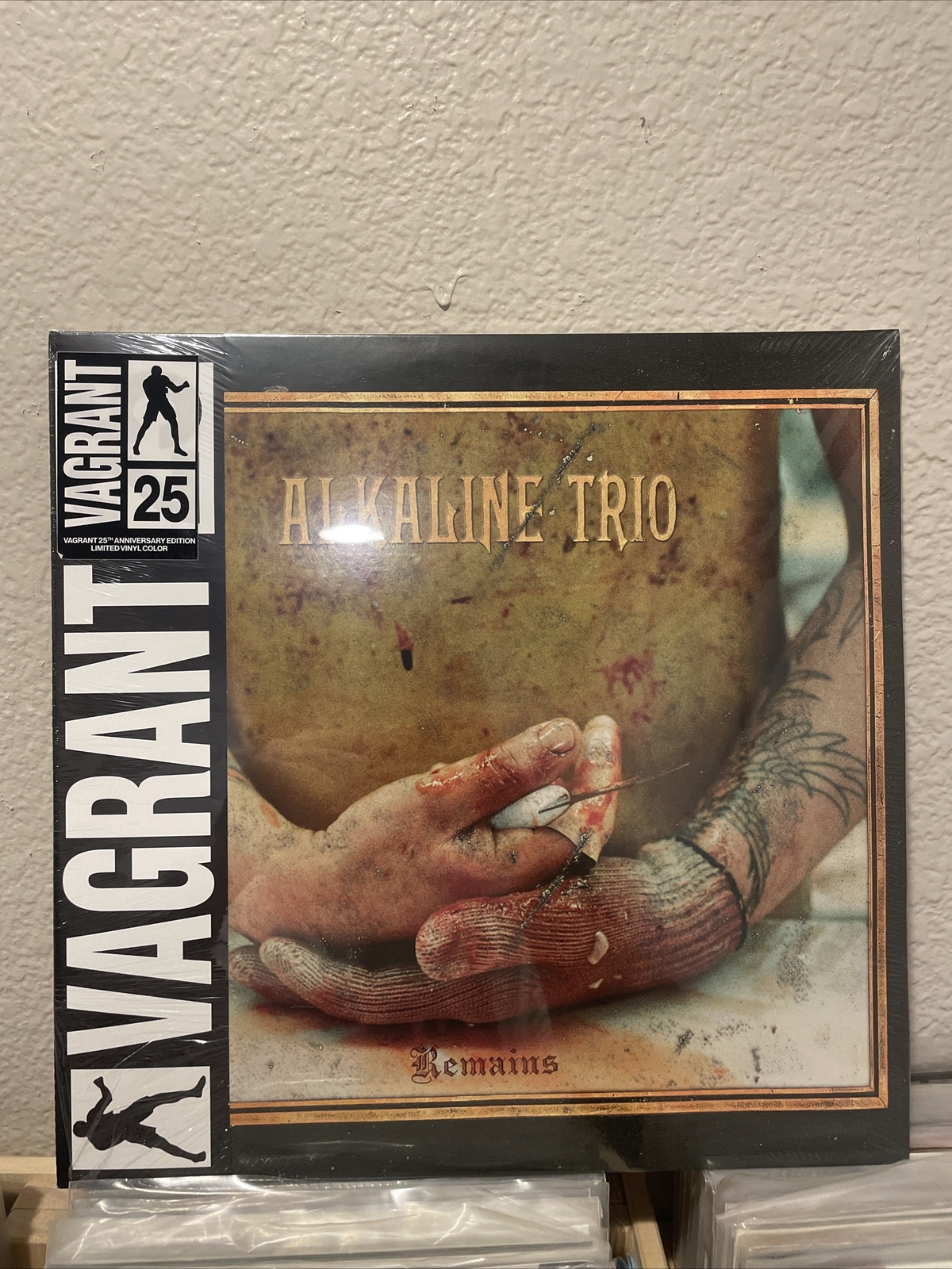 Alkaline Trio Remains vinyl A