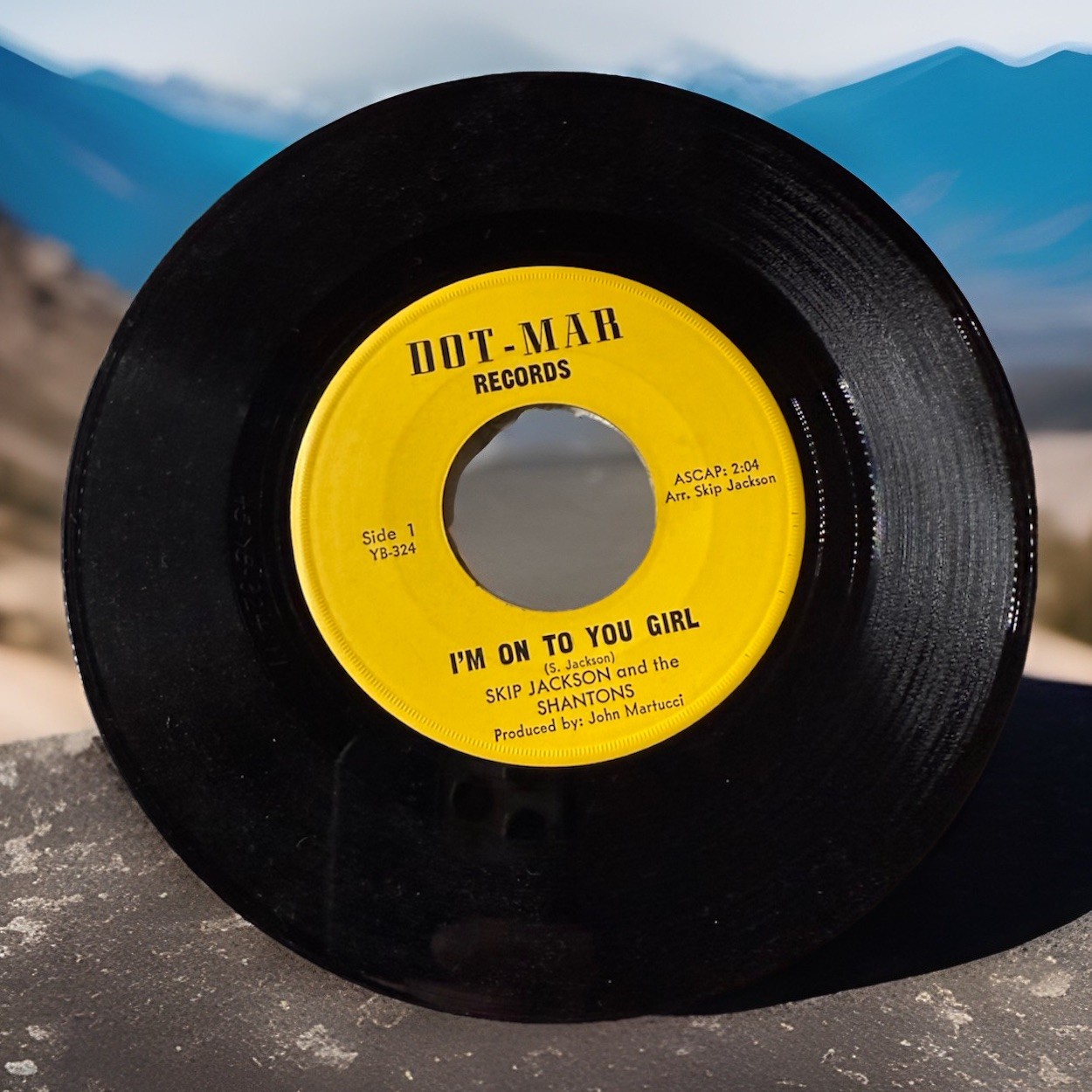 Skip Jackson & The Shantons I&rsquo;m On To You Girl B/ Promise That You&rsquo;ll Wait A