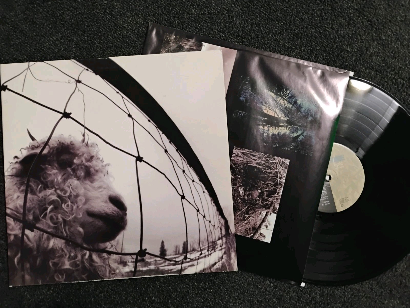 Pearl Jam VS Vinyl Z 53136 Epic Associated A