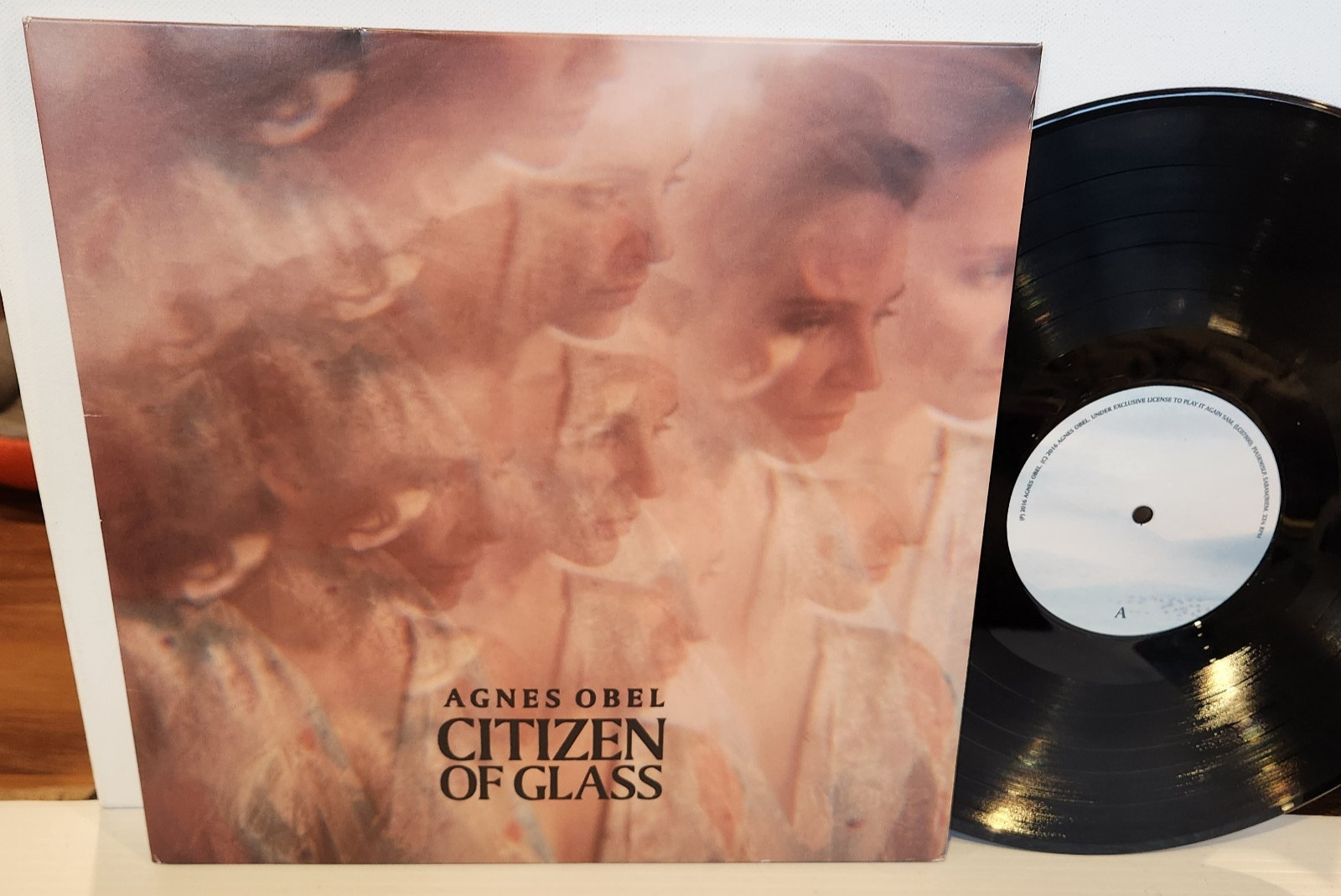 Agnes Obel - Citizen of Glass 180 gram Vinyl LP Gatefold Cover 2016 Europe Press